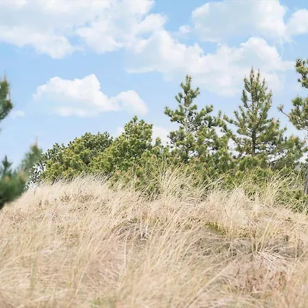 604-hvide-sande-bjerregardsvej-193 *