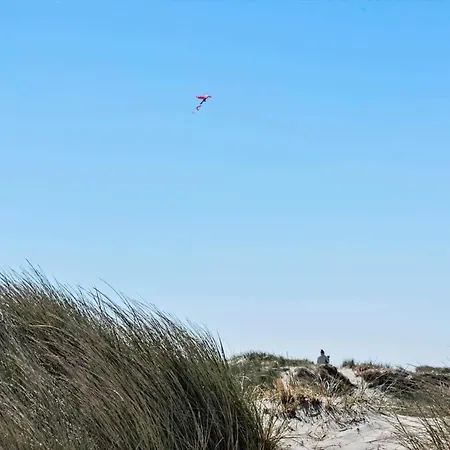 604-hvide-sande-bjerregardsvej-193