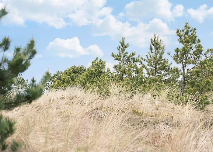 604-hvide-sande-bjerregardsvej-193 *